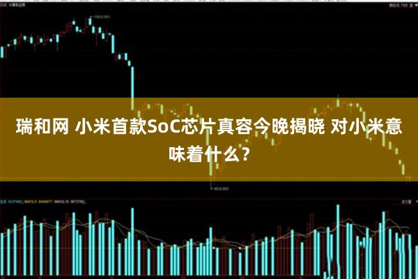 瑞和网 小米首款SoC芯片真容今晚揭晓 对小米意味着什么?